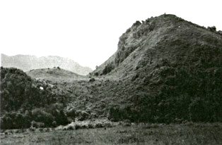 walters5.JPG (22512 bytes)