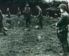 Pangerl1.JPG (32457 bytes)