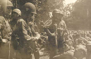 pangerl4.JPG (31136 bytes)