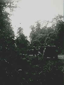 pangerlcombat13.JPG (21729 bytes)